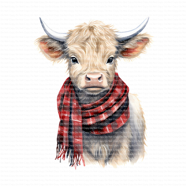 Christmas Baby Highland cow with scarf ready to press sublimation transfer