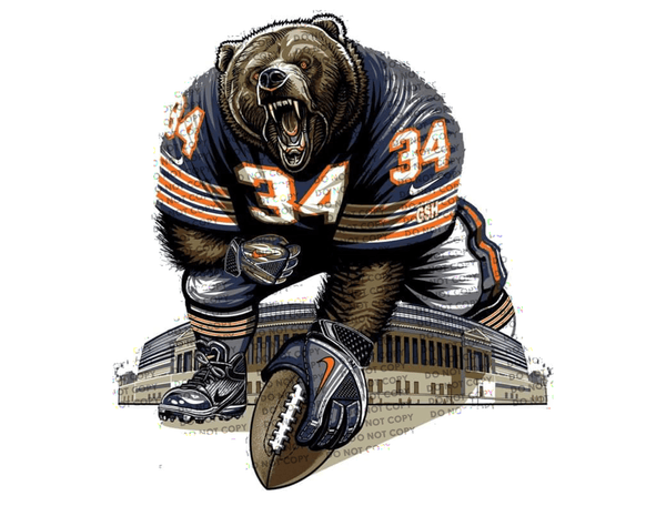 Sublimation Transfer Sublimation Prints Chicago Football Ready to Press Sublimation Transfer Subzero Sublimations