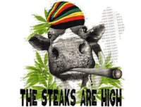 Sublimation Transfer Sublimation Prints The Steaks Are High Rastafarian Cow Ready To Press Sublimation Transfer Subzero Sublimations