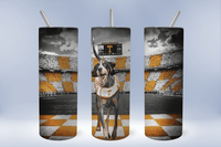 Tumbler Transfers Sublimation Prints Tennesssee tumbler Ready to Press Tumbler Transfer 20oz Straight and Tapered Subzero Sublimations